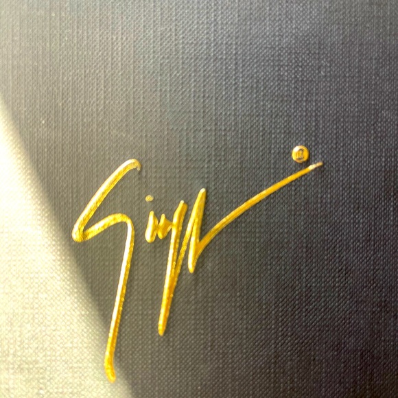 Beautiful sexy unique Giuseppe Zanotti classy shoes - Picture 10 of 14